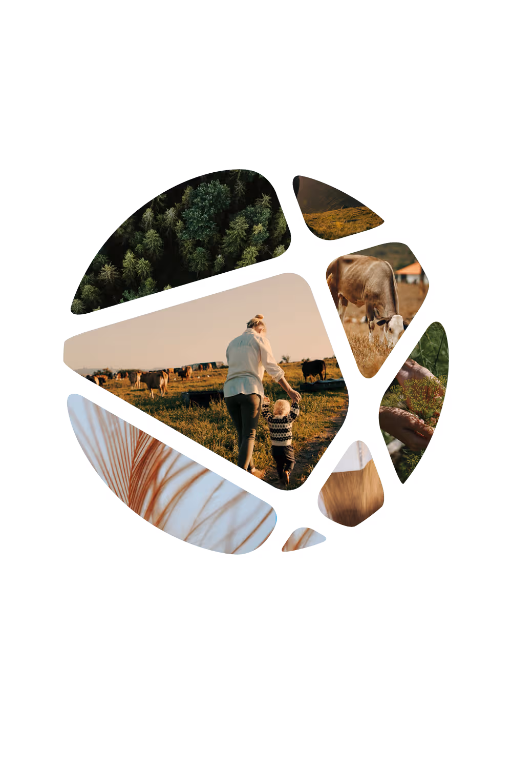 Agroproteinka-3