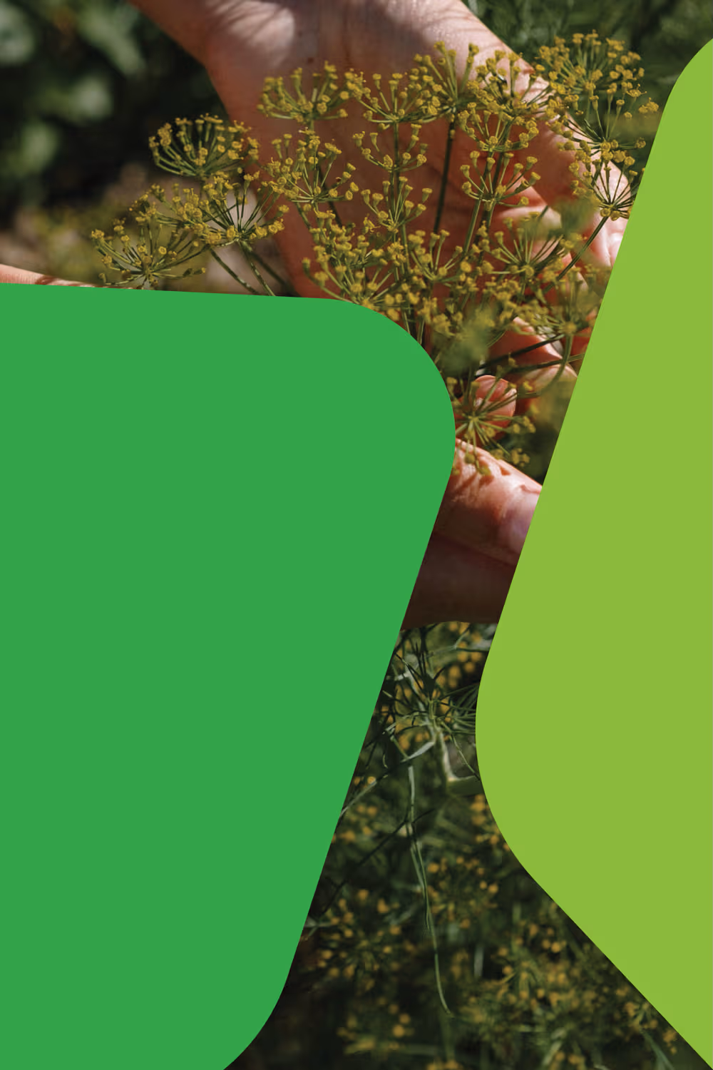Agroproteinka-6